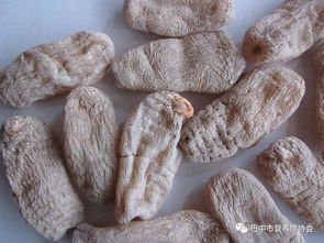 冬季養(yǎng)生 天麻用起來(lái)