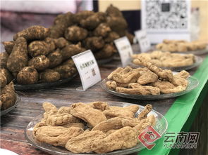 云南彝良優(yōu)質(zhì)農(nóng)特產(chǎn)品入渝受歡迎 要聞 昭通頻道 云南網(wǎng)