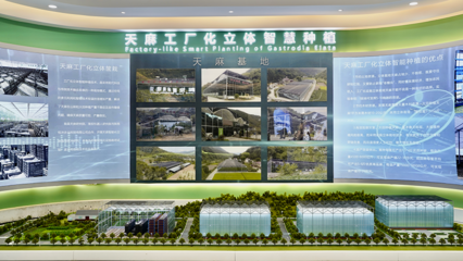 高質(zhì)量發(fā)展看漢中 | 天麻之城:略陽(yáng)示范園展現(xiàn)中藥材的未來(lái)之路