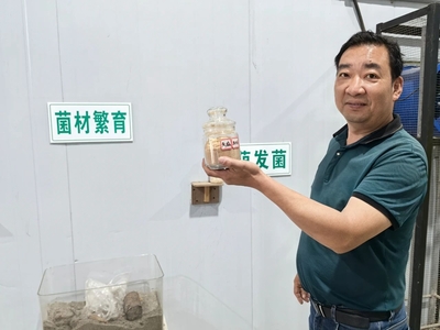 融合發展繪新卷，“茗新”振興正當時